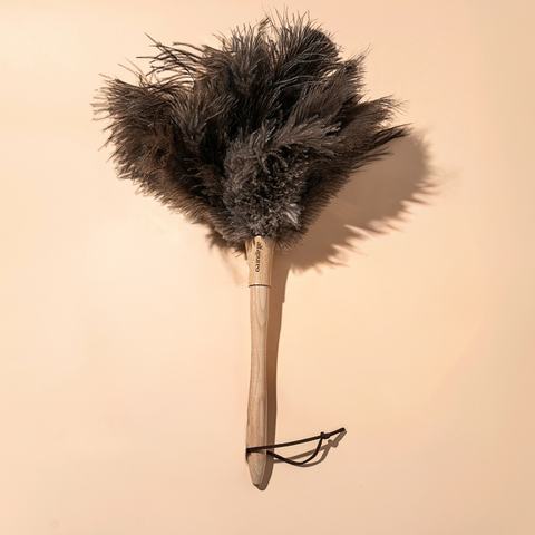 Prašnik od pravog perja