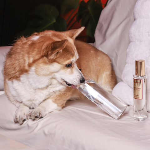 Sleep Spray